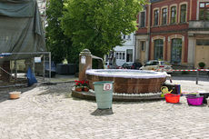 Bluemteppich auf dem Naumburegr Marktplatz (Foto: Karl-Franz Thiede)